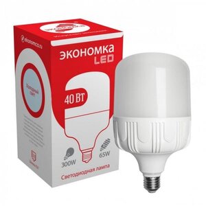 Лампа светодиодная ЭКОНОМКА высокомощная LED 40Вт Е27 6500К Eco40wHWLEDE2765